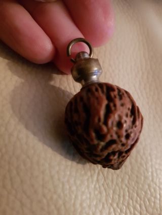 Antique Victorian Fruit Pip Kernel Nut Charm / Fob For A Pocket Watch Chain