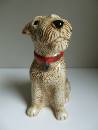 Rare Cath Kidston " Stanley " Lakeland Terrier Ceramic Dog Money Box Discontinued