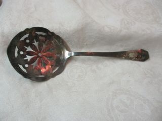 Antique 1914 Holmes Edwards Xiv Silver Plate Tomato Server Spoon Carolina Mono S