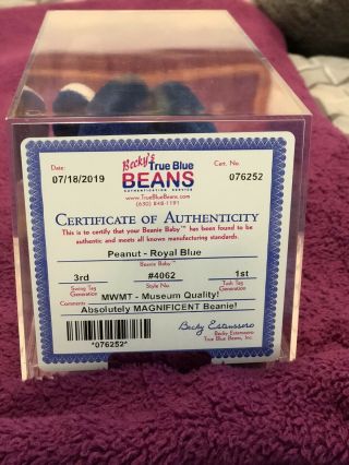 Ty Beanie Baby Royal Blue Peanut Elephant 3rd/1st Authenticated Certied Rare,