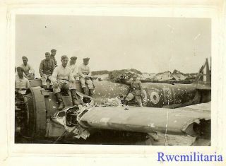 Port.  Photo: Rare German Troops W/ Shot Down Raf 40 Squadron Blenheim Bomber