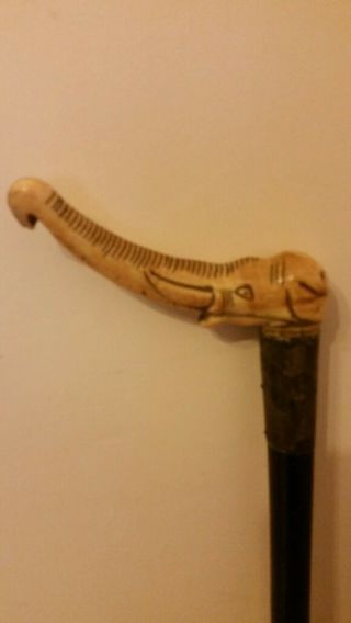 Antique Carved Elephant Head Walking Cane Late 19th Early 20th Century