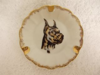 Vintage Antique Great Dane Dog China Small Ashtray Gold Trim Accents