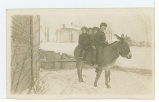 Four Kids On A Donkey In The Snow Rppc Antique Americana Photo Winter 1910s