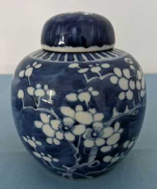 Chinese Antique Porcelain Ginger Jar Prunus Blue & White Double Ring