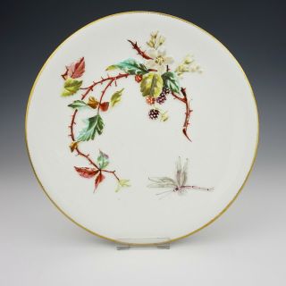 Antique Bodley Porcelain - Hand Painted Insect & Flower Aesthetic Movement Plate