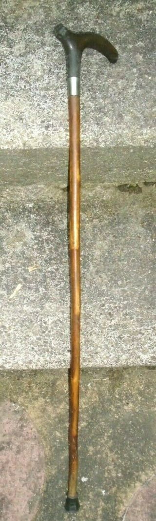 Antique,  Natural Wood,  Stag Horn,  Handled Walking Stick With Silver Plated Mount