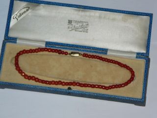 Antique Victorian 9ct Natural Salmon Red Coral Necklace