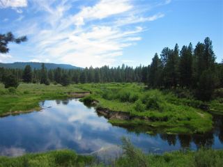 1.  50 Ac Oregon Land Ranch Rare Treed Views Near California