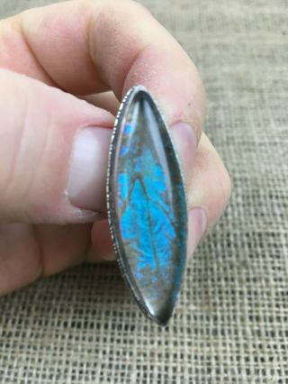 Antique Sterling Silver Morpho Butterfly Wing Eye Shaped Brooch - Circa 1910
