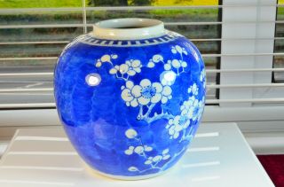 Antique Chinese Hand Coloured Blue & White Ginger Jar Prunus Decoration 19thc