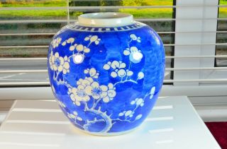 antique Chinese Hand Coloured Blue & White ginger jar prunus decoration 19thc 2