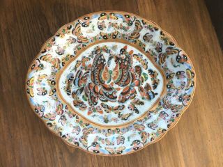 RARE Antique Butterly Chinese Porcelain Dish 2
