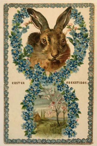Cute Bunny Rabbit With Wreath Of Flowers Antique Easter Postcard - M83