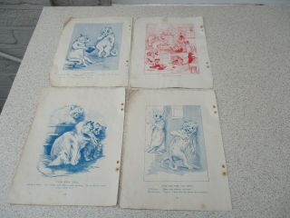 8 Antique Vintage Louis Wain Cat Prints On 4 Pages From A Book - C1900.