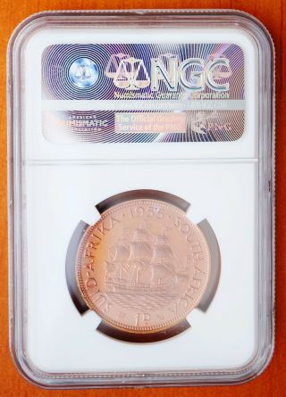 1955 South Africa Bronze Penny Proof Coin NGC PF66 RB RARE 2