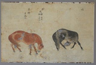 Fine Antique Chinese Ink And Wash Painting - Horse Study 1