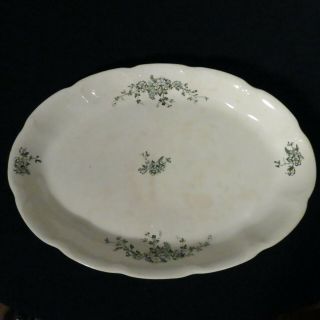Antique Ironstone Globe China Platter White W/ Dark Green Floral Design 15 & 1/4