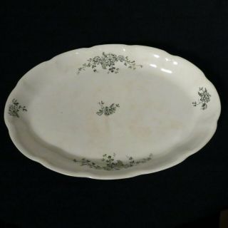 Antique Ironstone Globe China Platter white w/ dark green floral design 15 & 1/4 2