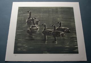Robert Bateman " Canada Geese " Lithograph S/n Very Rare