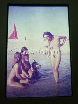 Vintage 35mm Slide Nude Diane Webber & Ladies With Dog At Shore 1960 