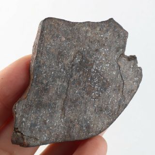 21g Rare Chondrite Meteorite Nwa Unclassified Meteorit Chondrit Slice A4345
