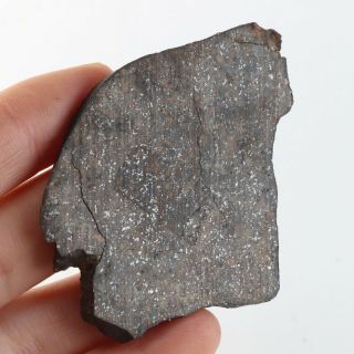 21g Rare chondrite meteorite NWA unclassified Meteorit Chondrit slice A4345 3