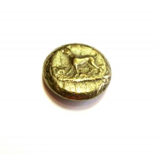 Striking Gilt Brass Cuff Size Sporting - Hunt Button Pointer Dog Btn 1830 - 50 