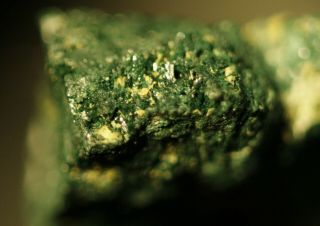 Vandenbrandeite Rare Uranium Massive W/ Kasolite Fine Micro Musonoi Mine,  Congo