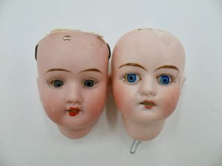 Two Antique German Small Bisque Doll Heads
