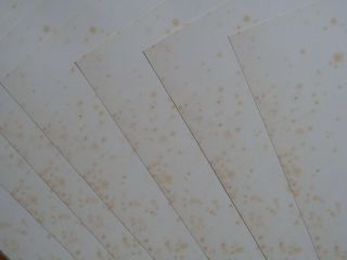 A4 Antique Effect Plain Paper,  50 Sheets Double Sided With Age - Toning & Foxing