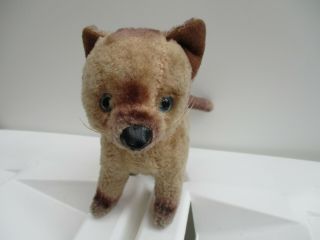 A Vintage Fox Teddy Bear Companion - Blue & Black Glass Eyes - c1950 2