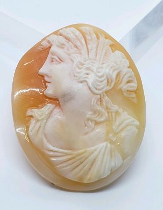 Elegant Antique Hand Carved Cameo Shell Greek Goddess Loose Cameo Shell 1.  25 " X1 "