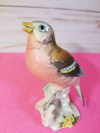 Vtg Karl Ens Germany Bird Porcelain China Figurine Figure Red Breasted Finch