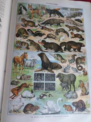 Antique Larousse UNIVERSEL Vol 1 Encyclopedia 1922 French 36 coloured pages 3