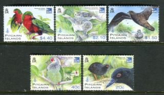 2011 Pitcairn Island Rare Birds Of Henderson Island - Muh Set Of 5 Stamps