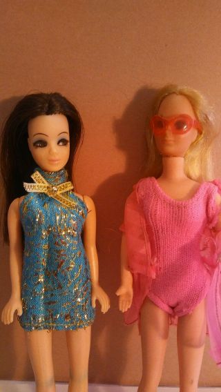 Vintage Topper Dawn/pippa Doll " Angie " And " Rockflower "