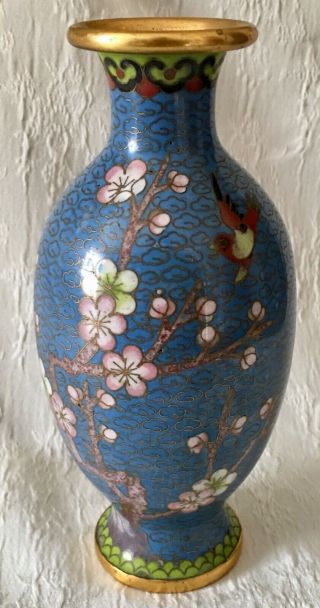 Chinese Jingfa Cloisonne Vase With Prunus Flowers On Blue Background & Red Bird