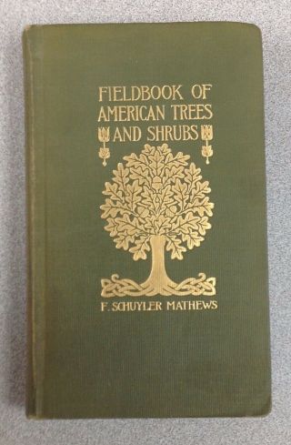 1915 Antique Book Fieldbook Of American Trees And Shrubs