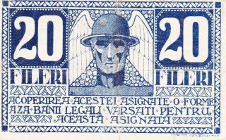 20 Fileri Very Fine Banknote From Transylvania/temesvar - Timisoara 1919 Rare