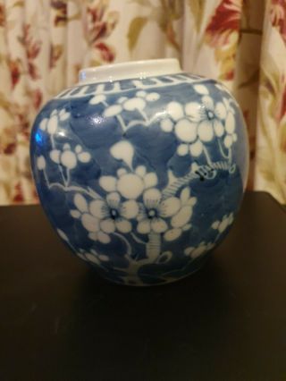 19th Cent 13cm Chinese Blue And White Prunus Ginger Jar,  With Double Ring Kangxi
