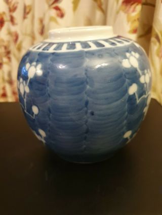 19th Cent 13cm Chinese Blue and White Prunus Ginger Jar,  With Double Ring Kangxi 2