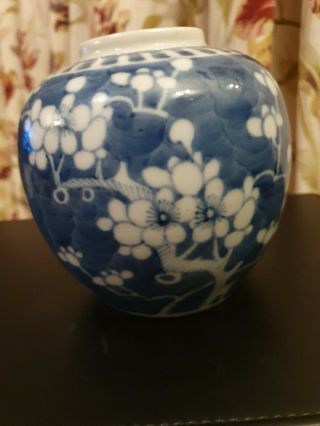19th Cent 13cm Chinese Blue and White Prunus Ginger Jar,  With Double Ring Kangxi 3