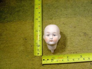 Excavated Vintage Painted Bisque Swivel Doll Head Age 1890 German Hertwig 13809