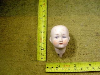 Excavated Vintage Painted Bisque Swivel Doll Head Age 1890 German Hertwig 13810