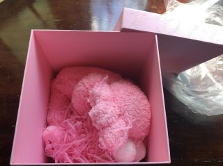 KAWS BFF Pink Plush 2019 0039/3000 AP039 100 Authentic Artist proof Toy Tokyo 3
