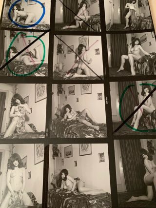 Vintage 8x10 Contact Sheet 50 - 70s Art Posed Nude Young Play By Serge Jacques