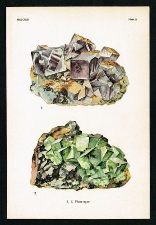 1911 Haloids,  Fluor - Spar Geology Rocks & Minerals - Antique Print - Spencer