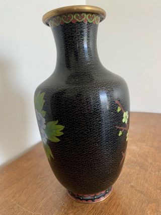 Large Vintage Chinese Cloisonné Vase Black With Flowers 12” 3