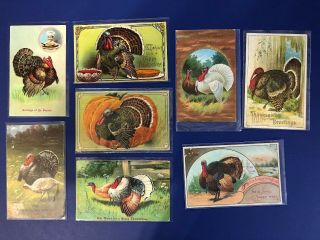 8 Thanksgiving Postcards Antique Vintage Early 1900 